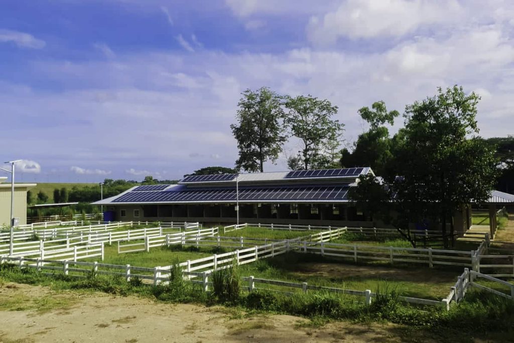 Hangar panneaux solaires photovoltaïques