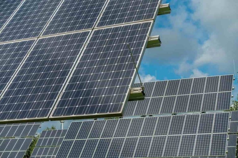 panneaux solaires et agrivoltaisme
