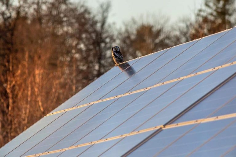 panneaux solaire