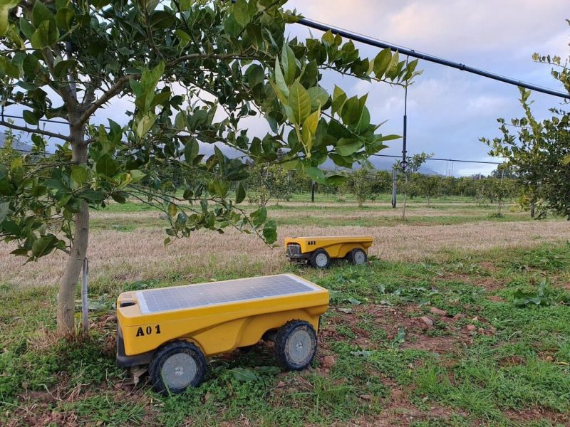 robots vitirover