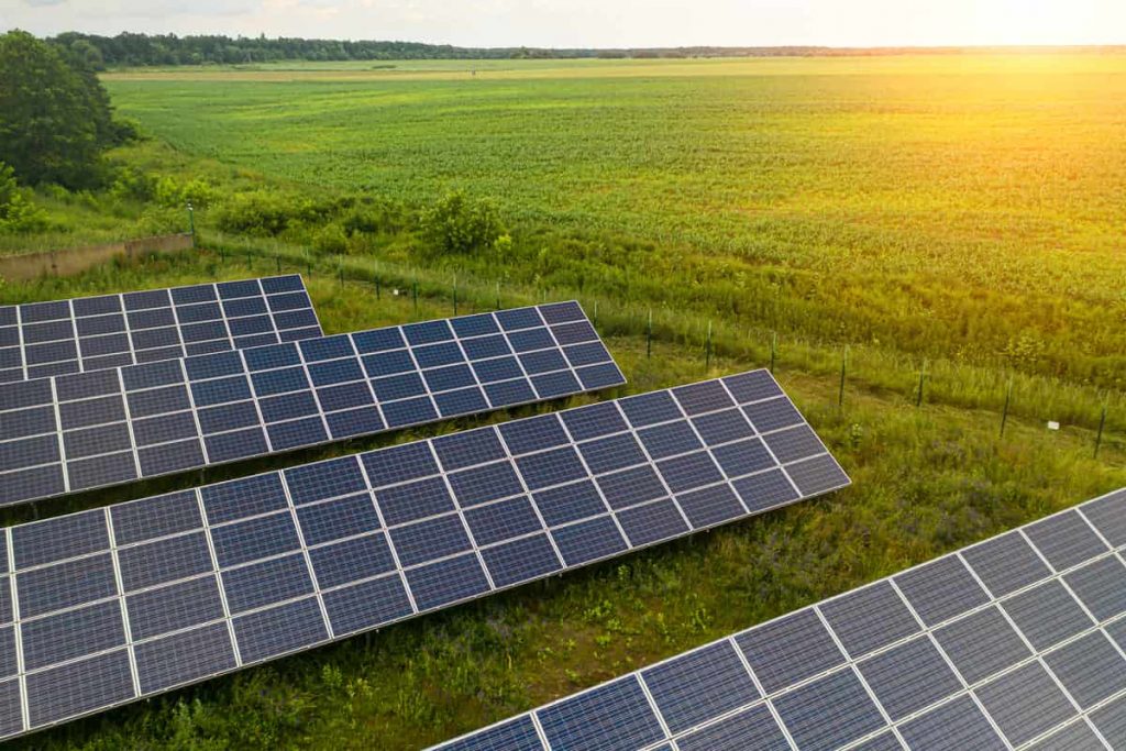 Combien rapportent 100 m² de panneaux solaires photovoltaïques