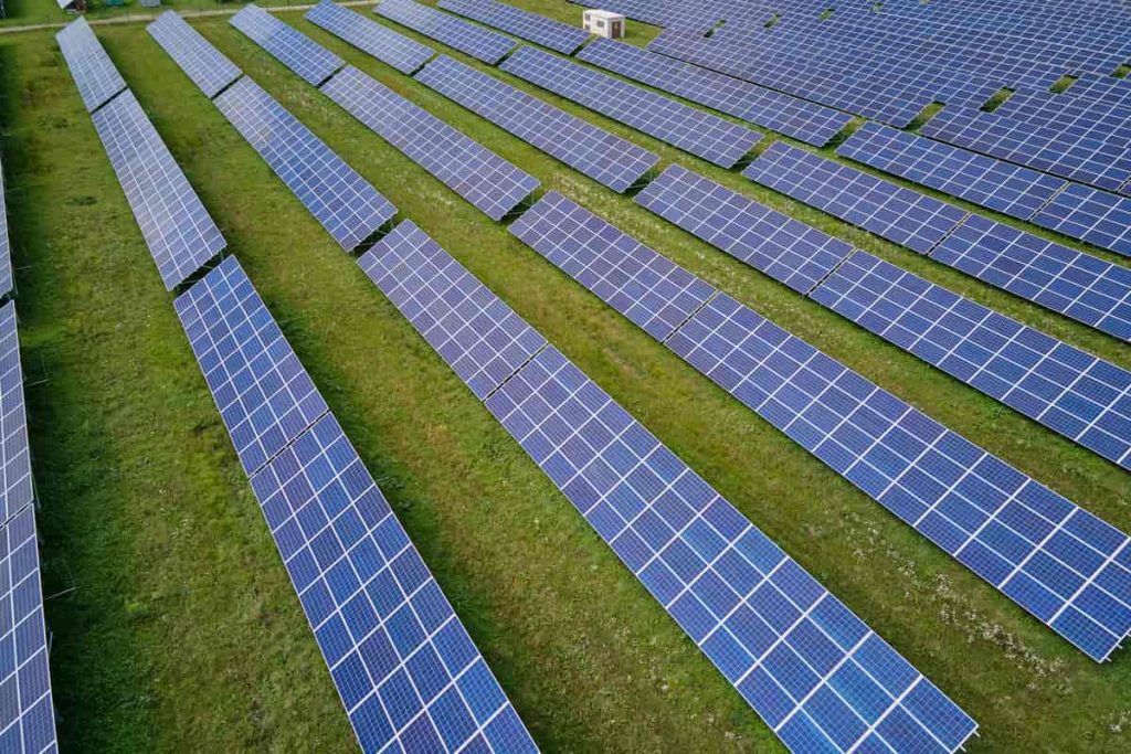 Combien rapporte 1 000 m² de panneaux photovoltaïques