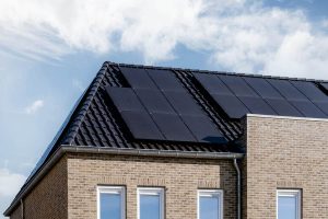 faillite sunpower