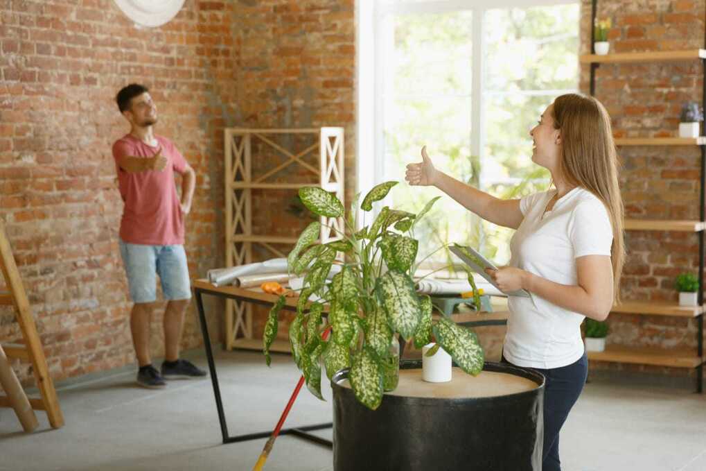 Deux personnes discutent dans un espace de rénovation, illustrant les tendances de la rénovation durable en 2025, avec un focus sur des éléments naturels comme les plantes et des matériaux bruts comme les murs en briques.